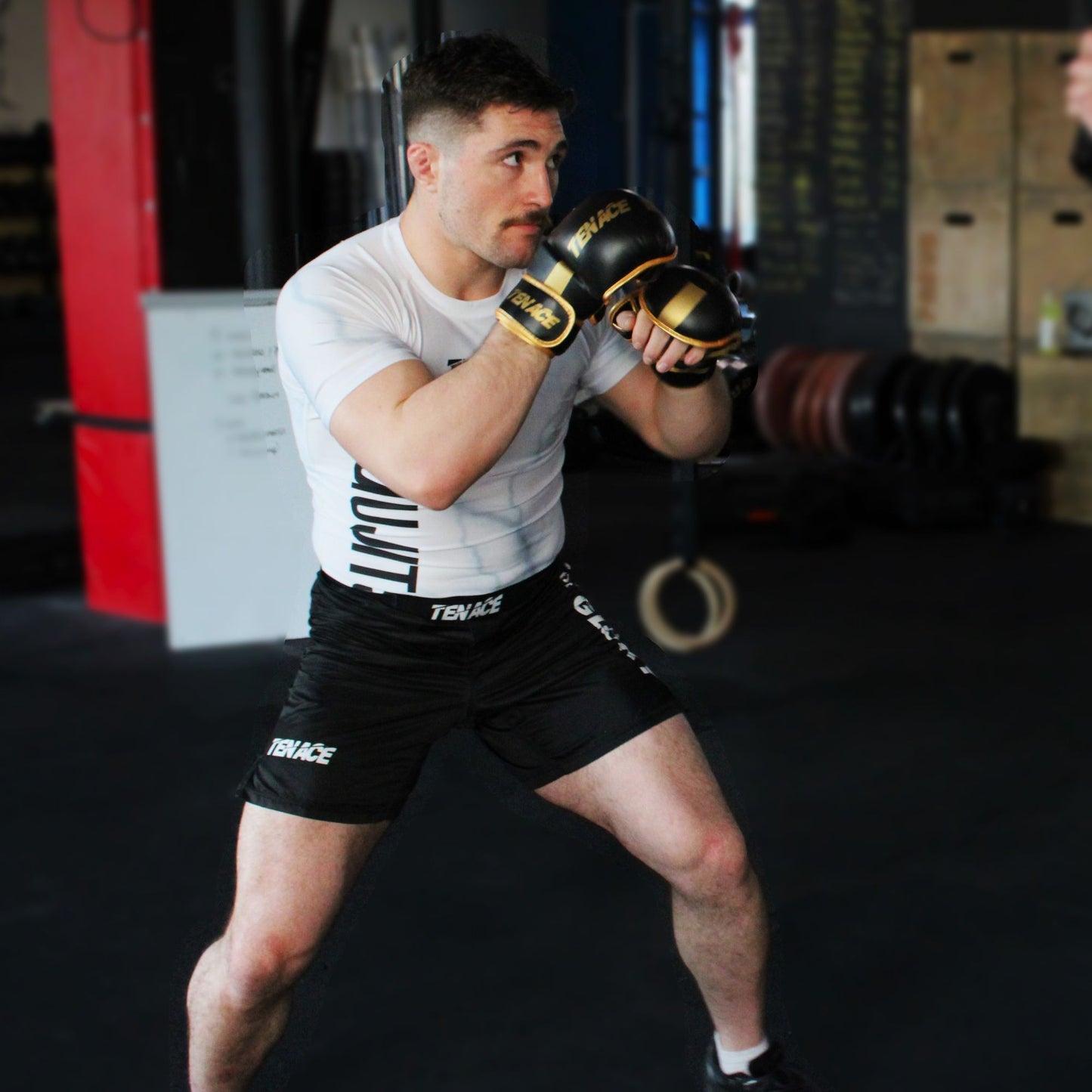 gants mma