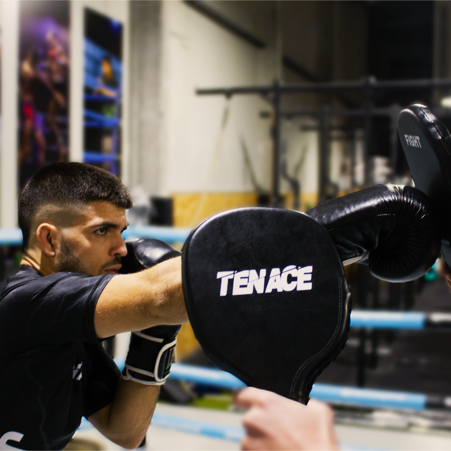 Palettes de boxe Tenace