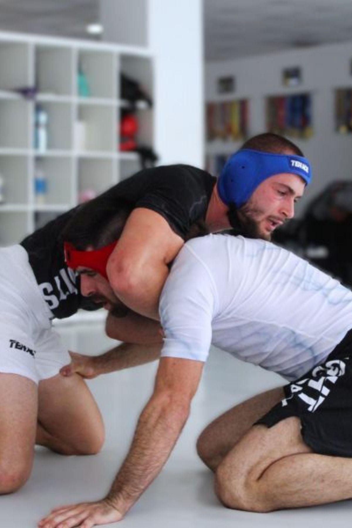 PRIMUS Earguards for Wrestling, Grappling, MMA, BJJ - Blue
